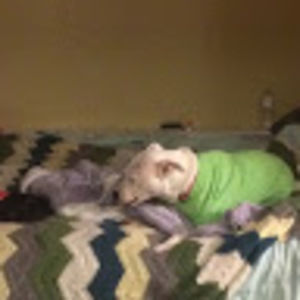 Meet your Posher, Mason